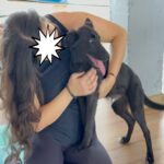 Mischling Kenai, 06/2025, ca. 47 cm