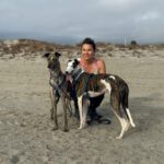 Galgo Luar, 02/2024, ca. 70 cm