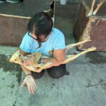 Podenco Luigi, 11/2024, Ca. 40cm