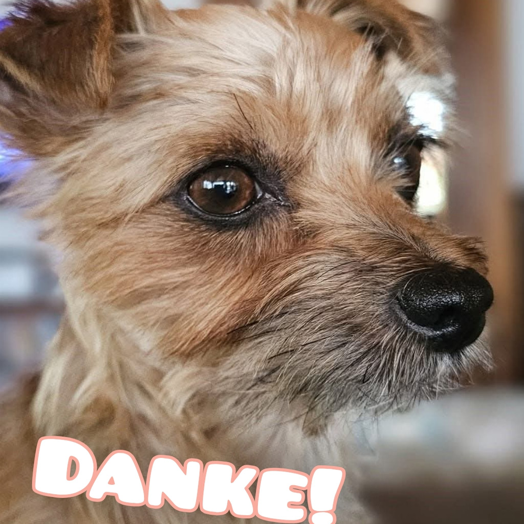 Medizintopf Didi - DANKE!