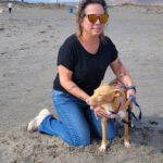 Podenco Pedro , 01/2023, ca. 49 cm