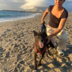 Mischling Rayo, 11/2014, ca. 50 cm