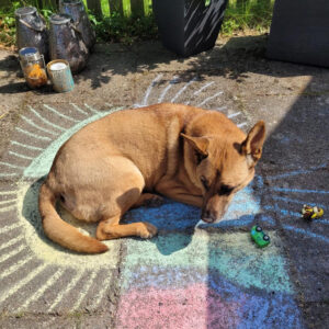 Regenbogenbruecke Morits