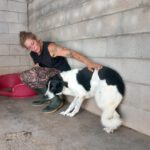 Mischling Venus, 06/2023, ca. 60 cm