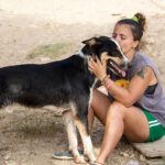 Border Collie Mischling Wasabi, 03/2022, ca. 49 cm