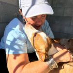 Podenco Llorana, 02/2021, ca. 40 cm