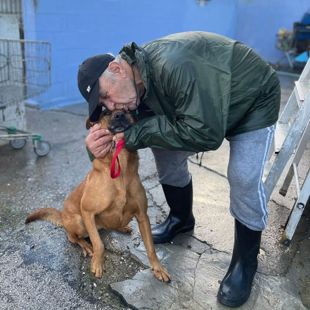 Manolo - Tierheim La Linea Prodean