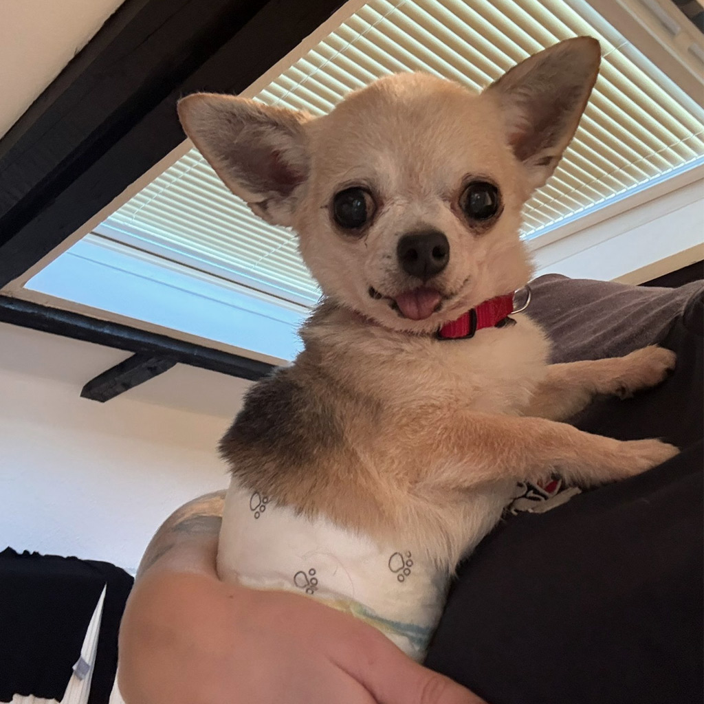 Medizintopf Suspirito