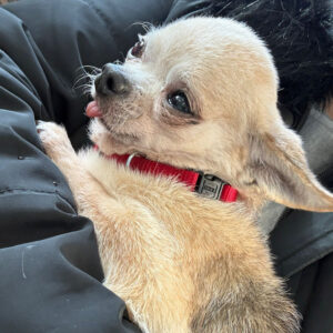 Medizintopf Suspirito