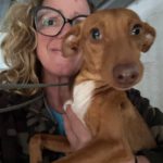 Podenco Solace, 03/2025, Endgröße ca. 40 cm