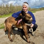 Malinois  (Mischling) Angel, 05/2020, ca. 65 cm