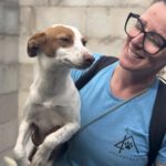 Podenco Birgit, 11/2024, ca. 45 cm