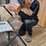 Mastin Dama, 12/2019, ca. 75 cm, 61250 Usingen/ Weinborn