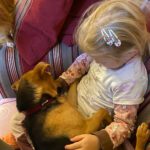 Pinscher Mischling Elsa, 02/2023, 35 cm