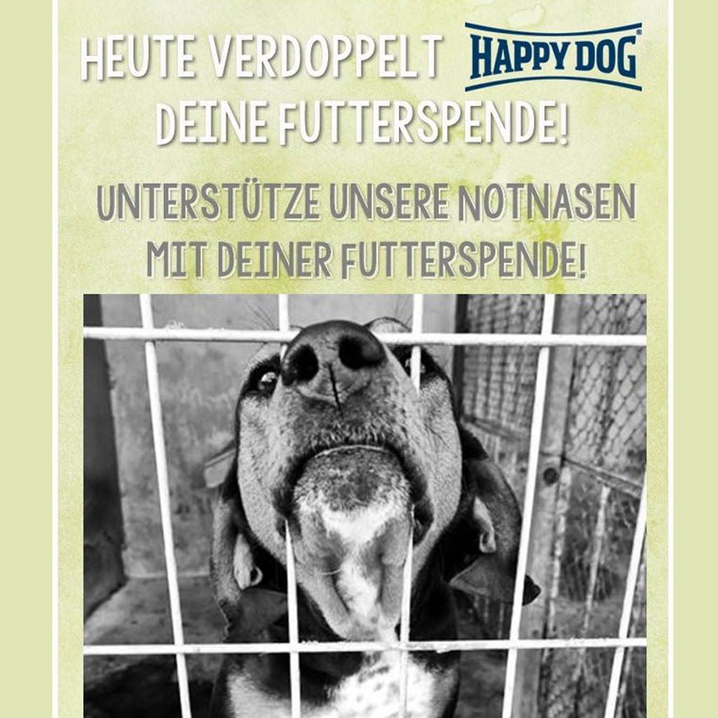 FEED A DOG – Extra-Futter-Aktion - NUR HEUTE!
