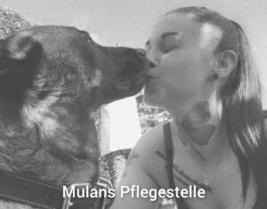 Malinois Mulan - Danksagung Futterpatenschaft