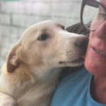 Mischling Mango, 04/2025 , Endgröße ca. 45- 55 cm