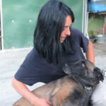 Malinois-Mischling Olivia, 10/2017, 65 cm