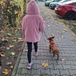 Podenco Maneto Pili, 09/2019, ca. 30 cm, 55237 Flonheim