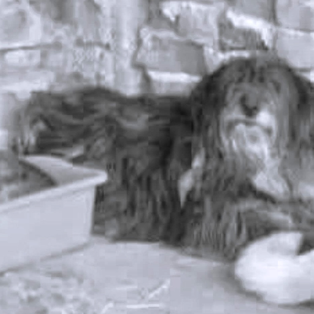 Regenbogenbrücke Vicky Bulgarien