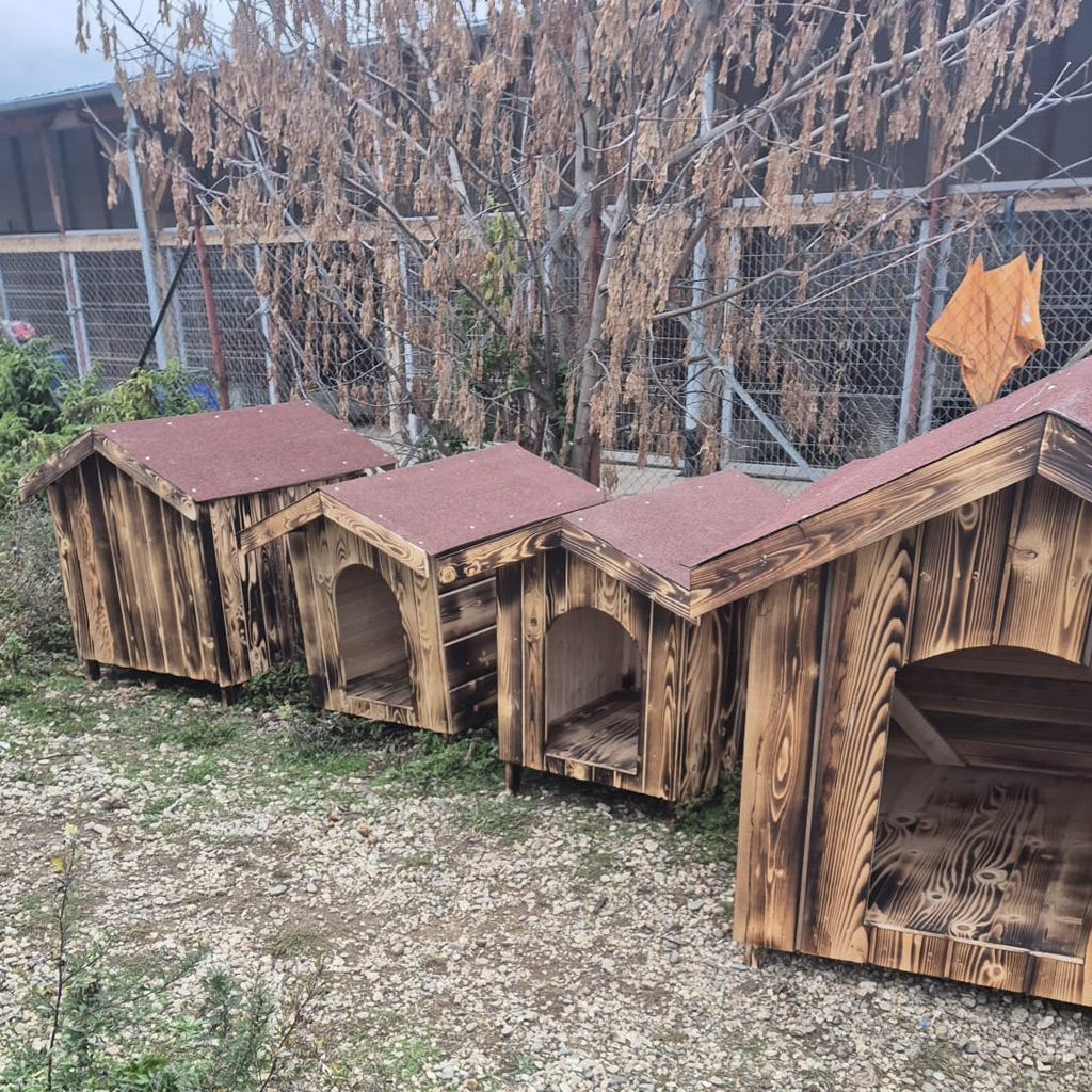 Spendenaufruf für Hundehütten Bulgarien