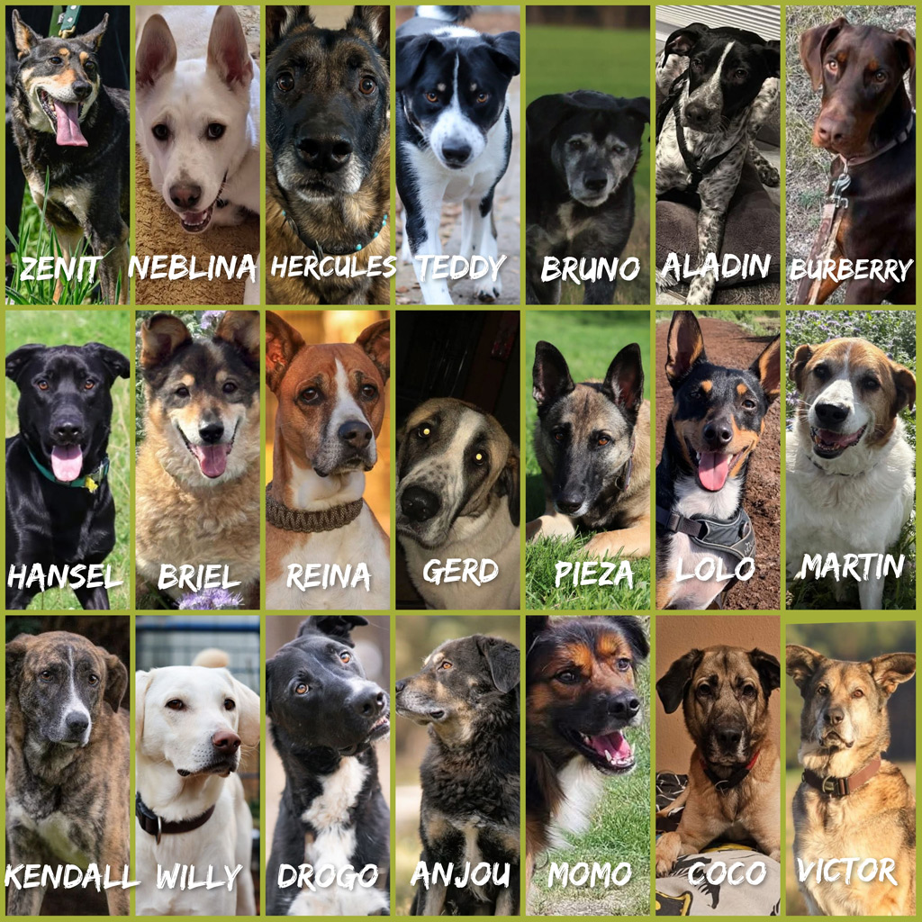 Unterstützung Pensionspatenschaften