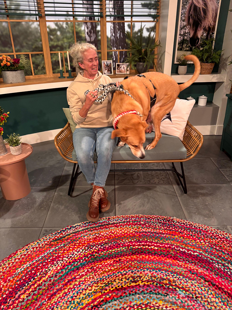 SALVA Hundehilfe beim WDR – „Tiere suchen ein Zuhause“