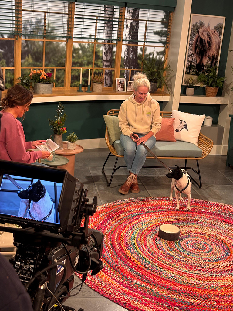 SALVA Hundehilfe beim WDR – „Tiere suchen ein Zuhause“