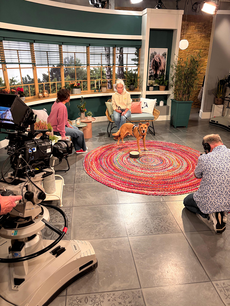 SALVA Hundehilfe beim WDR – „Tiere suchen ein Zuhause“