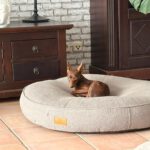 Pinscher Batman, 10/2022, ca. 30 cm, 67378 Zeiskam