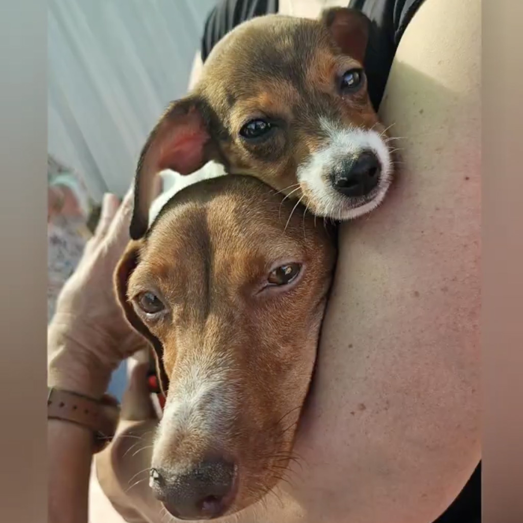 Reisebericht 2025 La Linea - Prodean von Anna-Rachel