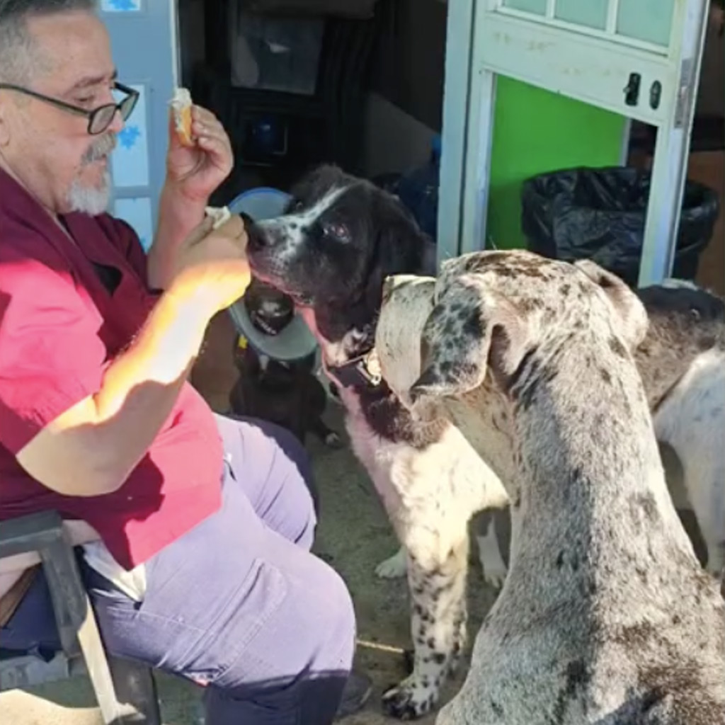 Reisebericht 2025 La Linea - Prodean von Anna-Rachel