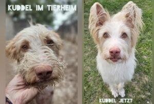 Reisebericht 2025 La Linea - Prodean von Anna-Rachel