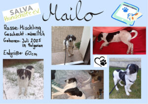 Abschied nehmen - Geschichte (Bulgarien). Mailo.