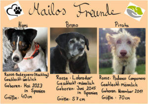 Abschied nehmen - Geschichte (Bulgarien). Mailos Freunde.