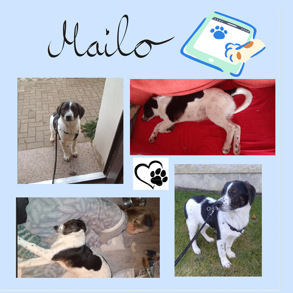 Abschied nehmen - Geschichte (Bulgarien)