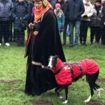 Galgo Crisis, 12/2018, ca. 67 cm, 24558 Henstedt Ulzburg