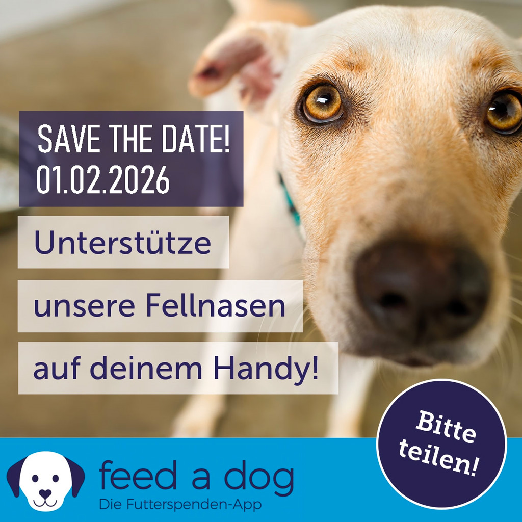 Feed a dog – Aktionstag 01.02.2026