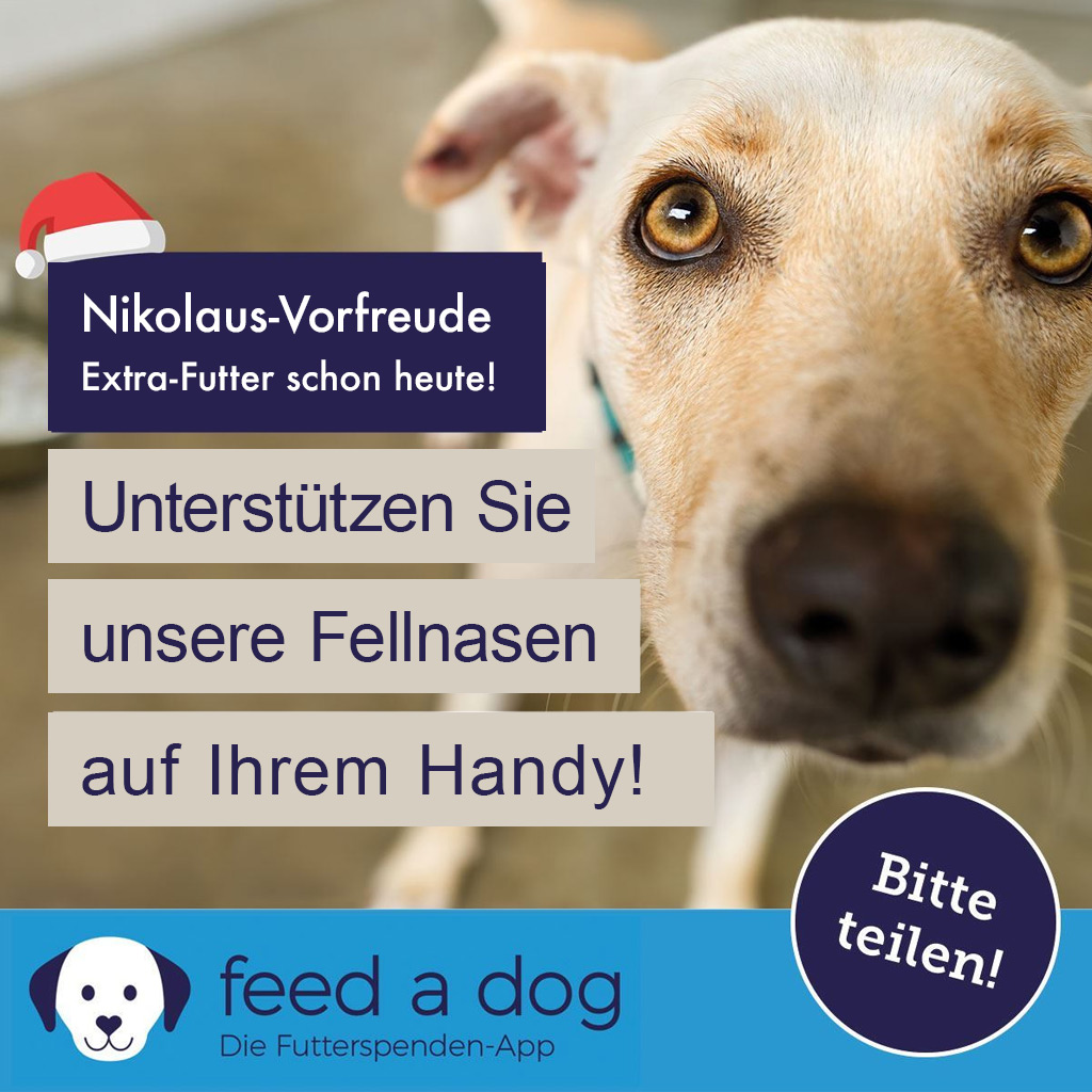 FEED A DOG – Extra-Futter-Aktion - 05.12.2025