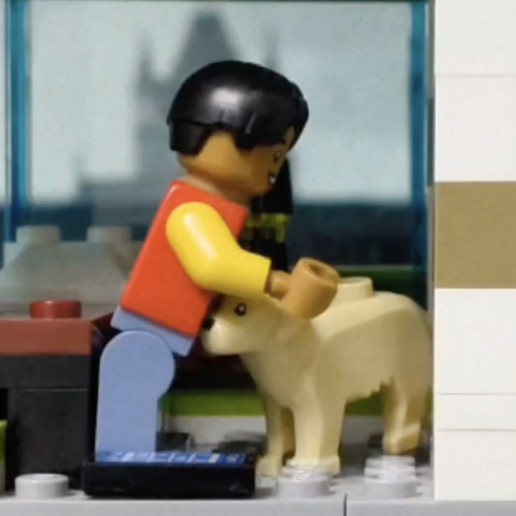 Kleines, vorweihnachtliches Tierschutzprojekt von Jakob, 12 Jahre.