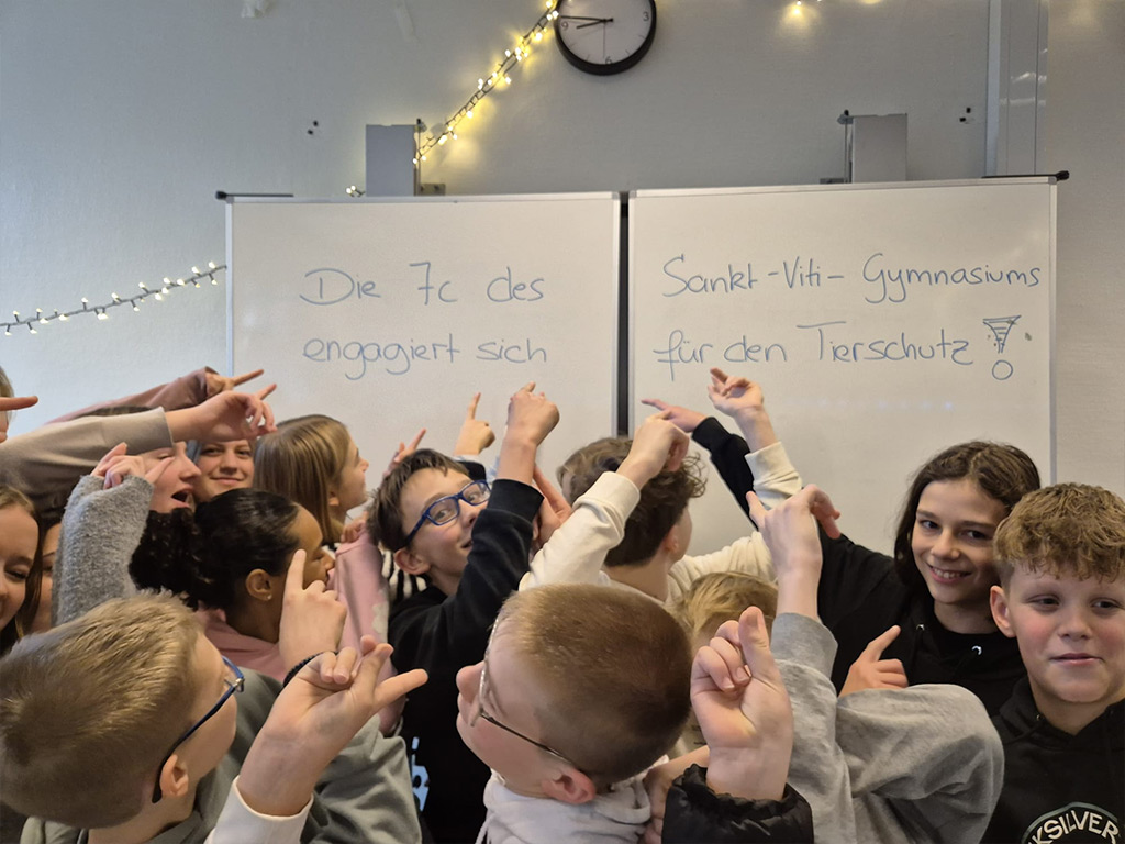 Kleines, vorweihnachtliches Tierschutzprojekt - Klasse 7c St. Viti Gymnasium