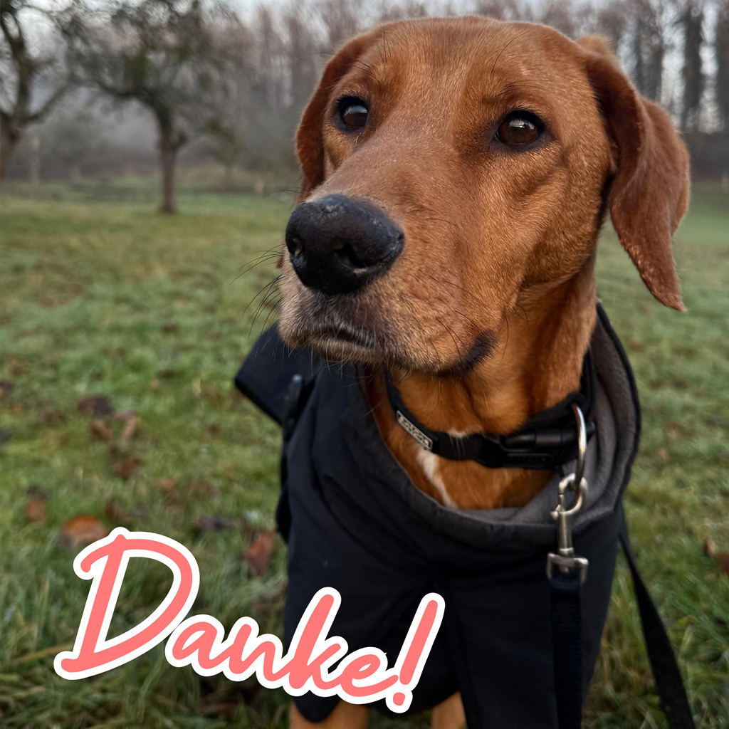 Spendenaufruf Medizintopf Alma - DANKE!