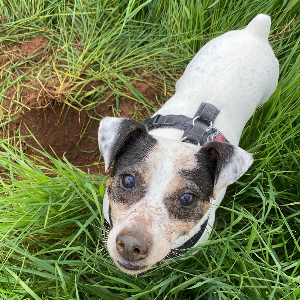 Neun wunderbare Jahre mit Sam