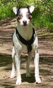 Neun wunderbare Jahre mit Sam