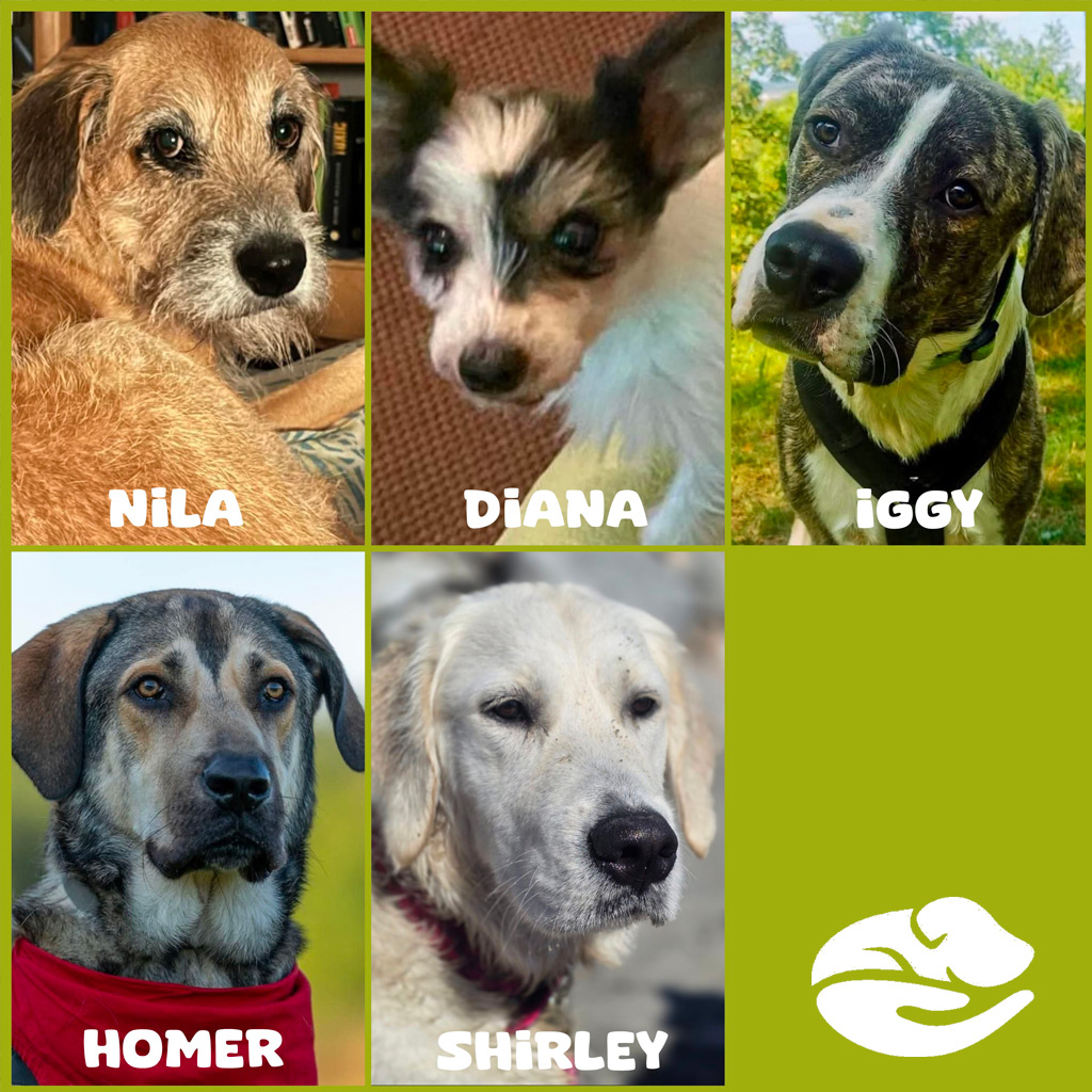 Spendenaufruf SALVA Medizintopf