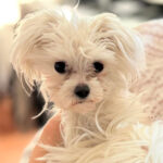 Dankeschön an die Apotheke Am Weinberg