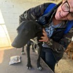 Mischling Blacky, 05/2025, Endgröße ca. 55 cm