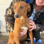 Mischling Blanca Nieve, 04/2025, Endgröße ca. 45 cm