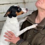 Bodeguero Jackson, 02/2025, ca. 43 cm