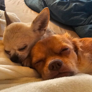 Medizintopf Suspirito